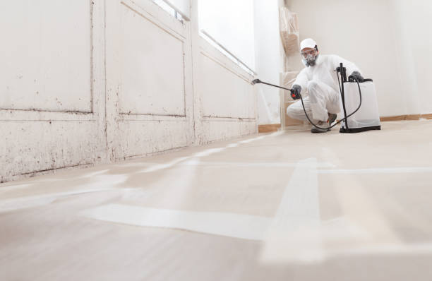 24/7 Emergency Attic Mold Removal experts in Columbus, MN