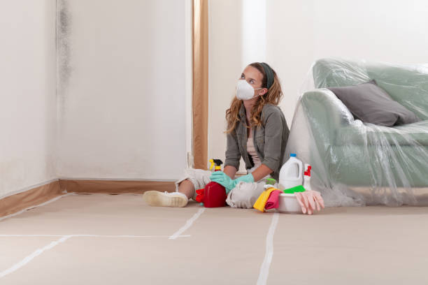 Reliable Attic Mold Removal contractor in Columbus, MN by WQB Mold Removal
